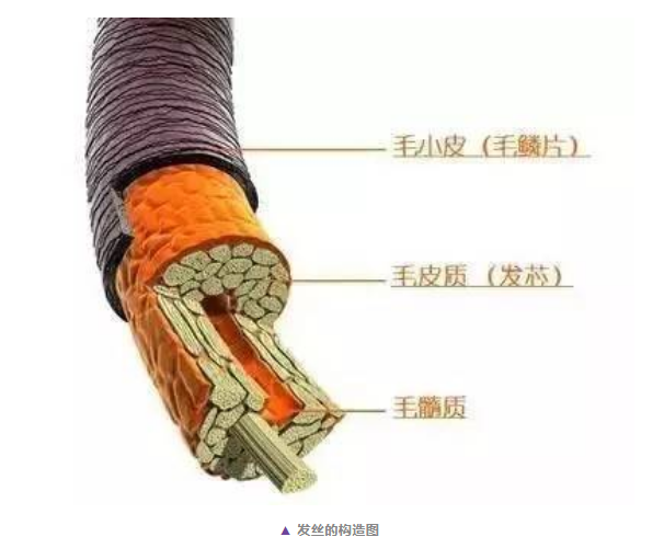 台北市硅油：我不是魔鬼 | 冤枉钱终点站