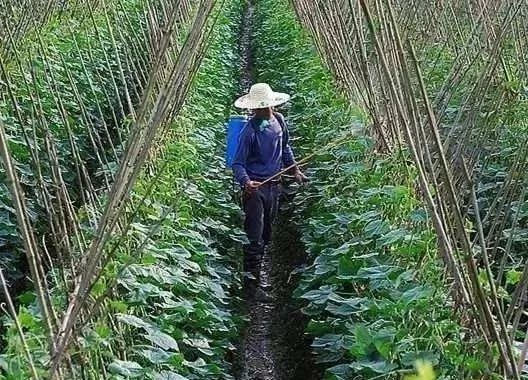 威海市助剂好效果就好真的假的？