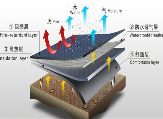 石家庄市印染行话知多少？书本上没有的这都有